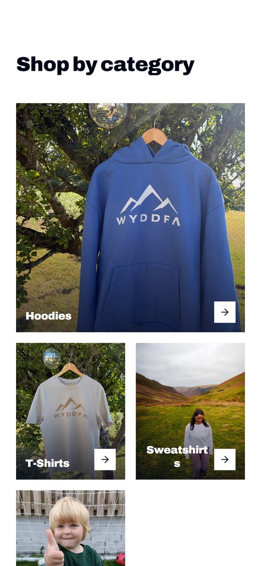 WYDDFA: mobile view, website designed and built by Studio RR